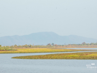 Pantanal Ago21-041